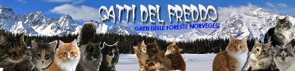 BANNER-MONTAGNE-2011