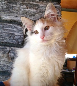 Beatriz 4 mesi 3